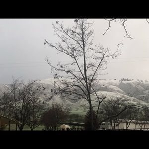 Meet your Posher, Griss